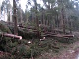 Nach Orkan Friederike - Uslarer Strasse (8)